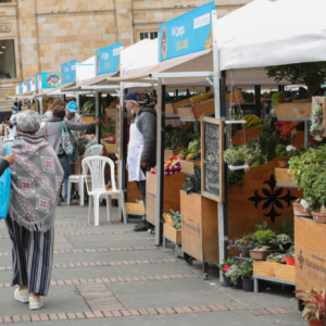 TARDE DE COMPRAS Y SPA