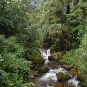 CAMINATA LA CHORRERA