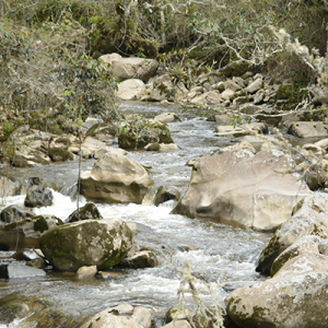 CAMINATA CASCADAS SUEVA