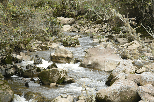 CAMINATA CASCADAS SUEVA