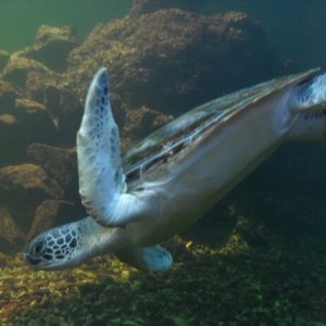 Acuario Mundo Marino