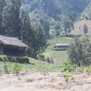 Cabalgata Molino Primavera