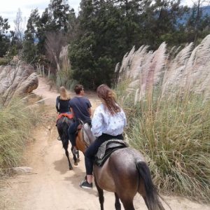 Cabagalta pozo de la Vieja