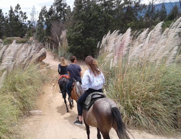 Cabagalta pozo de la Vieja