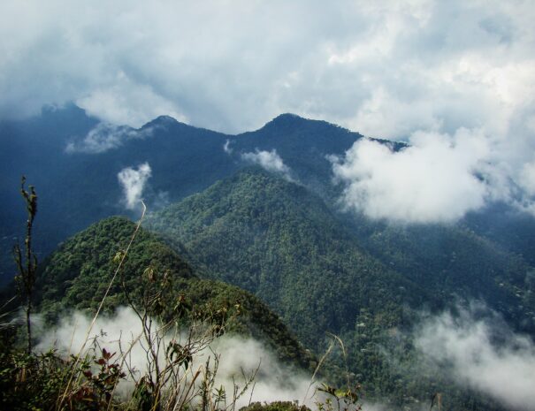Ecoparque del río Pance Cali
