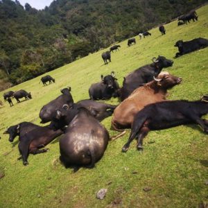 Parque Aventura Tumacos