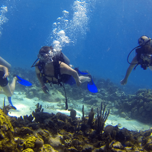 BUCEO SAN ANDRÉS