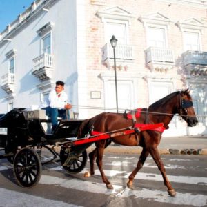 Paseo en Coche de Caballos