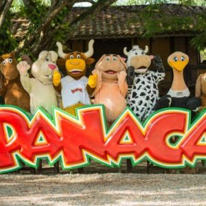 Dia en panaca transporte privado