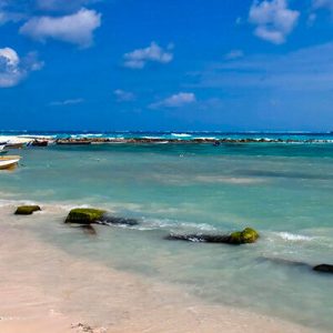 TOUR ISLA ROCKY CAY CON TRASLADO