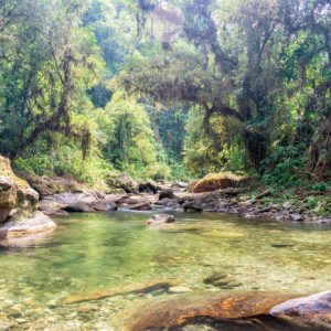 Visita al centro de turismo ecológico