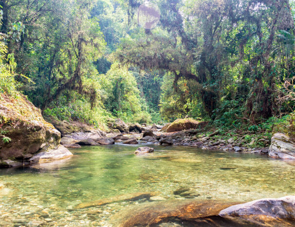 Visita al centro de turismo ecológico